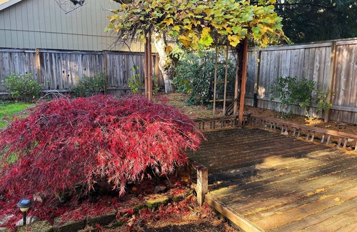 Metzger House | Ocean Inspired Artists Cove 4B in SW Portland