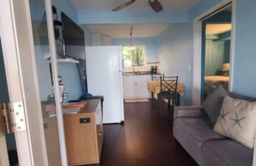 Ocean View Apartment | Ocean View /The Starfish - Just finished major renovations to the property