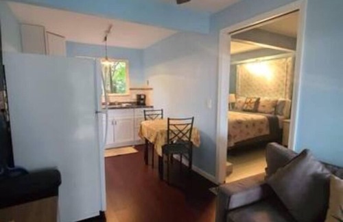 Ocean View Apartment | Ocean View /The Starfish - Just finished major renovations to the property