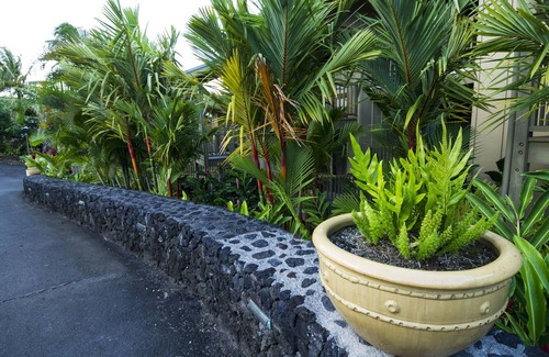 Hana Condo | Oceanfront #3 at Hana Kai Maui - 1 Bedroom Corner Unit 100ʻ from Water!