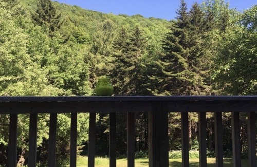 Braintree Cabin | Off Grid Cabin