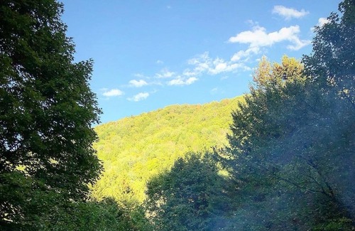 Braintree Cabin | Off Grid Cabin