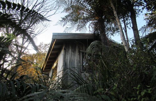Charleston Cabin | Off grid holiday, immersed in native flora and fauna