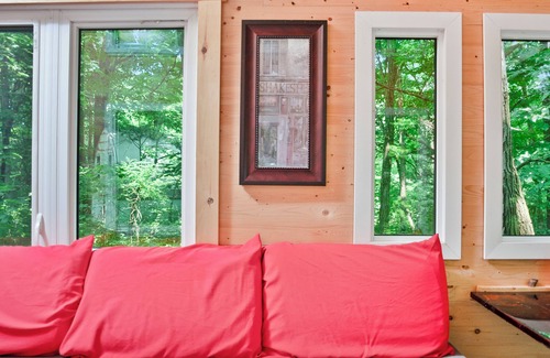 Rideau Lakes Cabin | Off Grid Tiny House Surrounded by Forest!