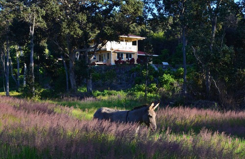 Naalehu Cottage | Off the Beaten Track On the Island of Hawai`i!