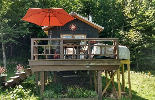 Parksville Cabin | off-the-grid tiny house cabin AND yurt in Livingston Manor, NY