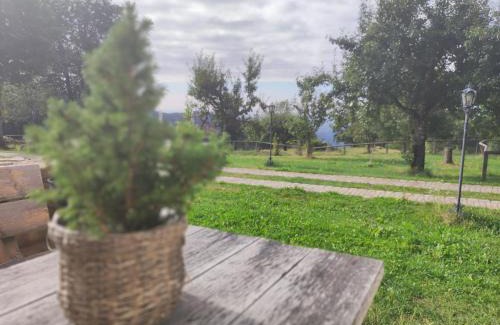 Schwarzach Apartment | OIDE STUB'N am Grandsberg