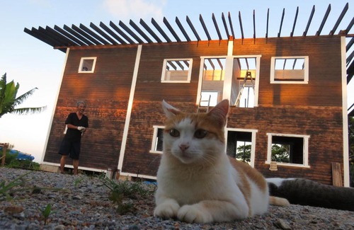 Gushiken Cabin | Okinawa Freedom