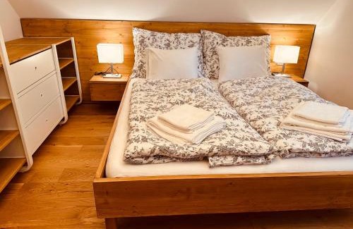 Olesnice v Orlickych horach Ski Chalet | Olešnická Chaloupka