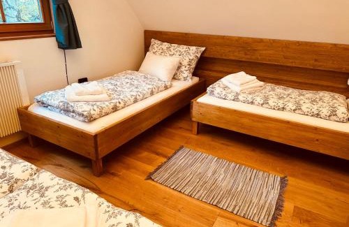 Olesnice v Orlickych horach Ski Chalet | Olešnická Chaloupka