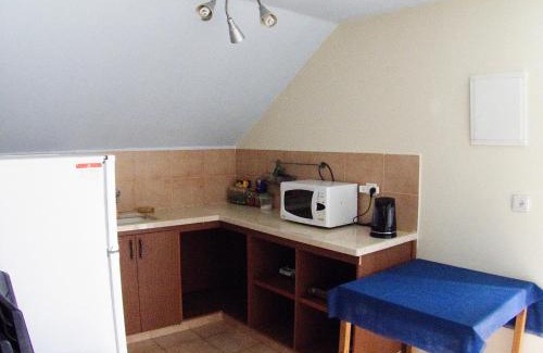 Katzrin Apartment | Olga Katz apartment