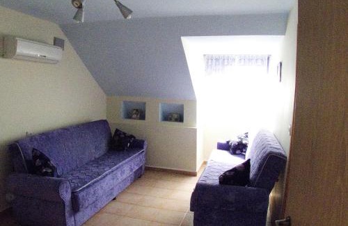 Katzrin Apartment | Olga Katz apartment