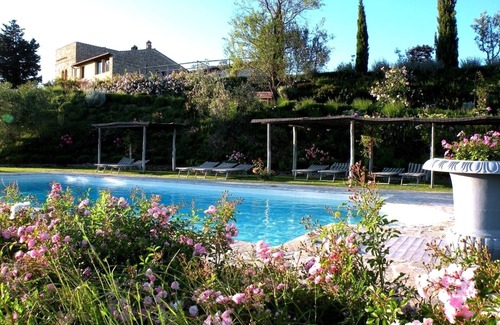 Certaldo House | OLIVE HUT.
