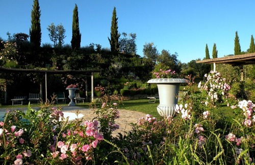Certaldo House | OLIVE HUT.