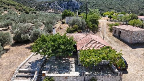 Ermionida Apartment | Olive Roots