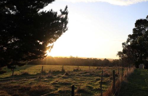 Taggerty House | Olive Sanctuary by Tiny Away