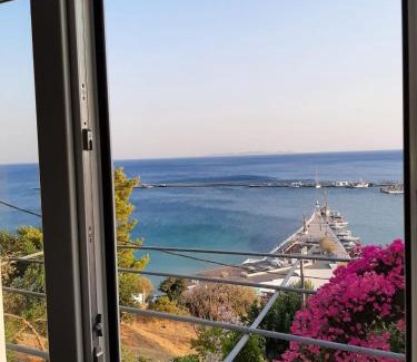 Pythagorion Hotel | OLYMPIADA view 2