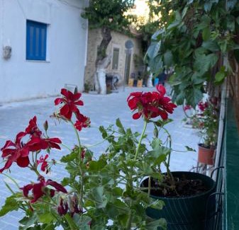 Myrtos Apartment | Olympios Apartment at Myrtos 1 minute from the beach