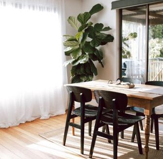 Scamander House | Omaru Beach House