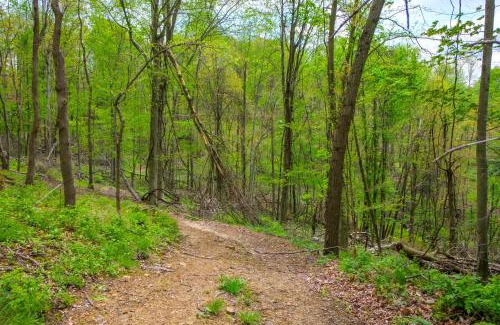 Blissfield Apartment | On-Site Trails to Mohican River Tiny Home Retreat