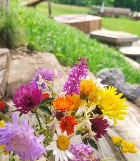 Poiana Marului Villa | On the Hill