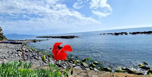 Coste Apartment | Onde Dell' Etna 10