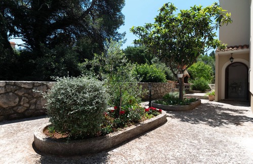 Muline Apartment | One bedroom apartment with terrace Muline, Ugljan (A-8521-e)