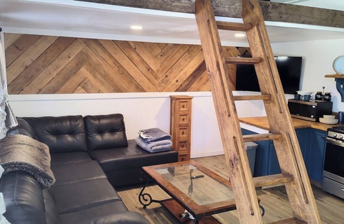 Real County Cabin | One bedroom cabin with an extra loft sleeping space minutes from the Frio River!