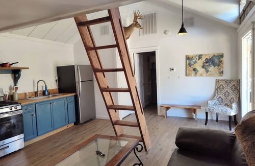 Real County Cabin | One bedroom cabin with an extra loft sleeping space minutes from the Frio River!
