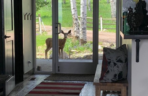 Gypsum House | One of a Kind, Perfect Mountain Retreat on 750 private acres