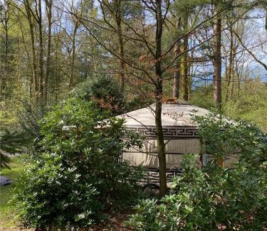 Hollandsche Rading Other | Ons Yurt Huisje in het Bos