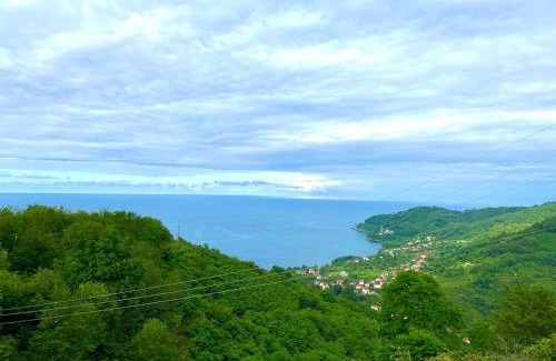 Persembe Ski Chalet | Opera Bungalov 2