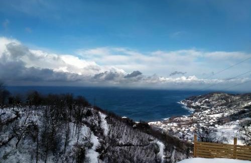 Persembe Ski Chalet | Opera Bungalov 2