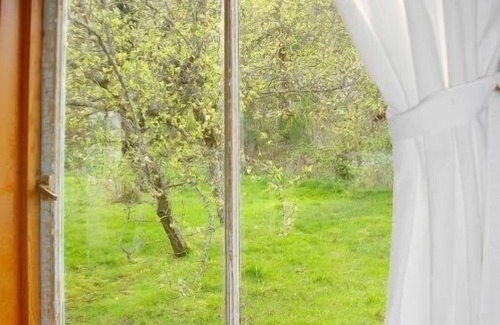 Salt Spring Island Cottage | Orchard Cabin - A Cozy Cabin in a Peaceful Orchard Close to Ganges.