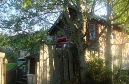 Salt Spring Island Cottage | Orchard Cabin - A Cozy Cabin in a Peaceful Orchard Close to Ganges.