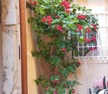 Ortigia House | Ortigia SÈFER