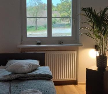 Chojna Resort | Osada Narost 37