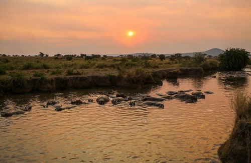Serengeti National Park Other | Osero Serengeti Luxury Tented Camp