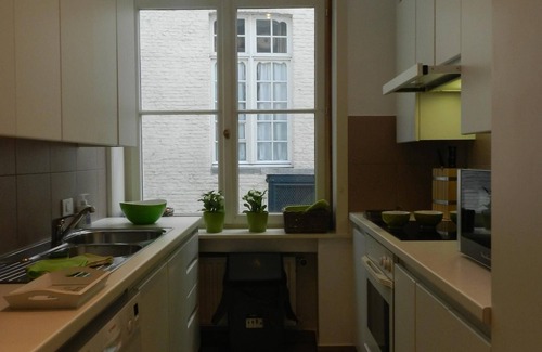 Historical Center Bruges Apartment | Our holiday apartment is located on the Sint-Annarei and offers a view of the mo
