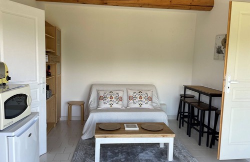 Visan House | Outbuilding with private pool amidst vineyards