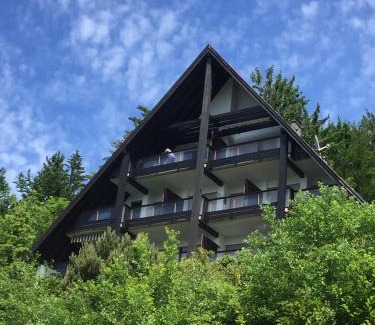 Sasbachwalden Apartment | Overpoint Panorama