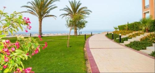 Marsa Alam Hotel | Oyster Bay Beach Studio