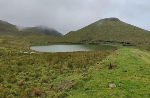 Madalena Villa | Pérola do Pico