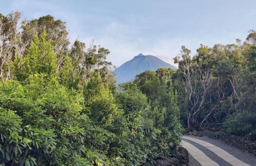 Madalena Villa | Pérola do Pico