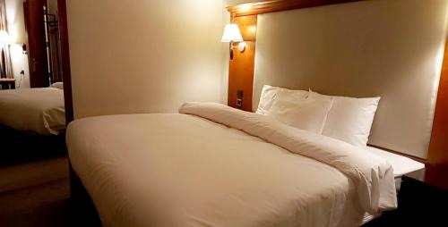 Downtown Amman Hotel | P.A.S.H.A BOUTIQUE HOTEL