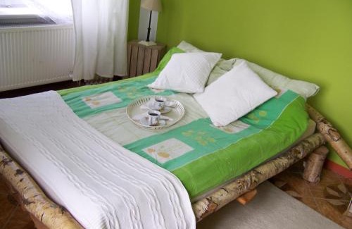 Myslakowice House | Pałac Dąbrowica