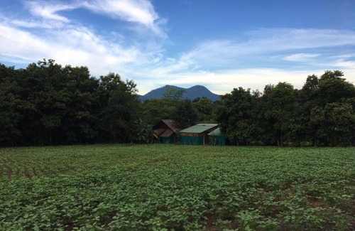 Pai Resort | Paipunthong Resort