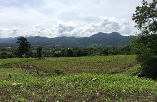 Pai Resort | Paipunthong Resort