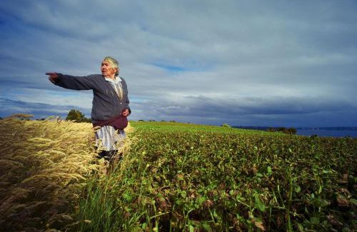 Castro Apartment | Palafito del Carpintero