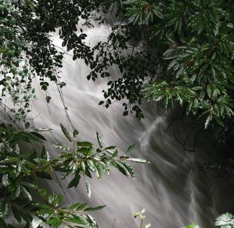 Brissago Villa | Palazzo Branca - Unique experience